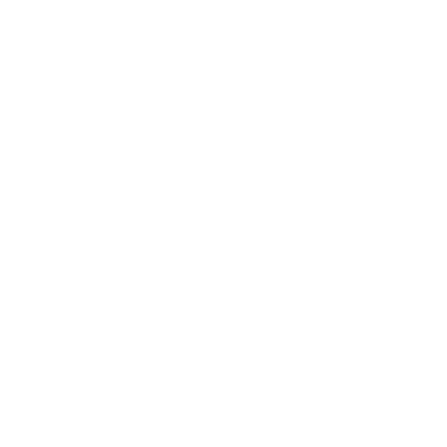 Activon Logotyp Vit