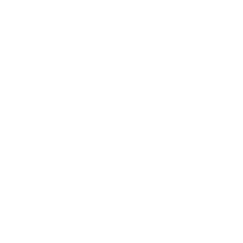 VisioFocus Logotyp Vit