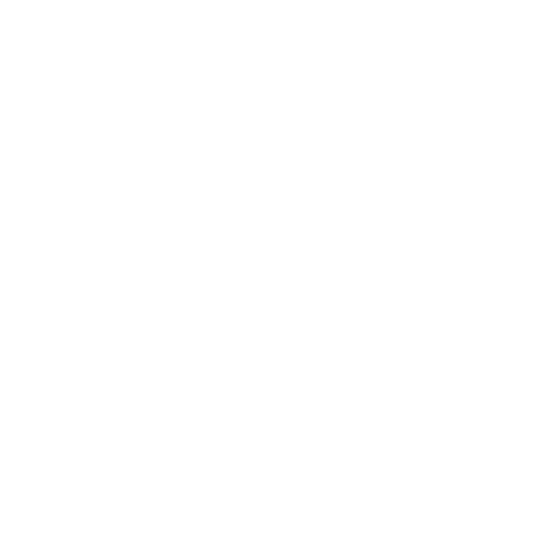 silentknight_logo_hover